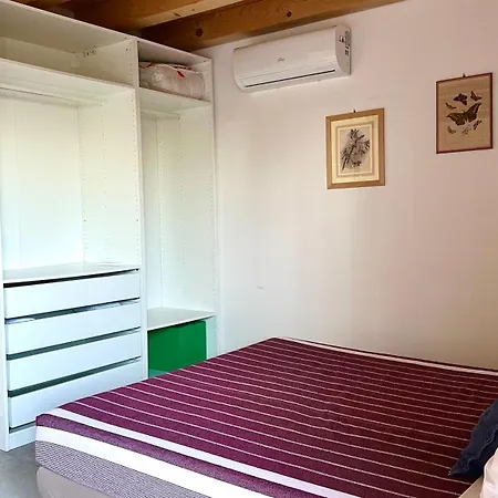 Palme 6 - Marcelli, Bilocale Con Doppio Giardino, Le Palme