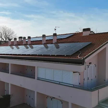 Palme 6 - Marcelli, Bilocale Con Doppio Giardino, Le Palme *