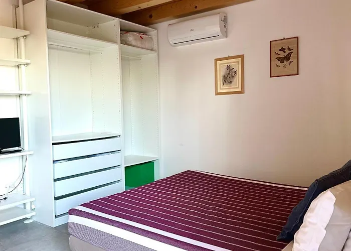 Palme 6 - Marcelli, Bilocale Con Doppio Giardino, Le Palme